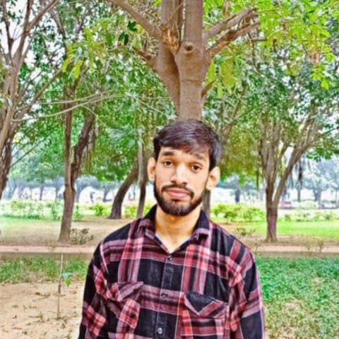 Ajay Pal, Software Developer